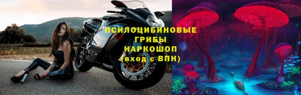 мяу мяу мука Каменка