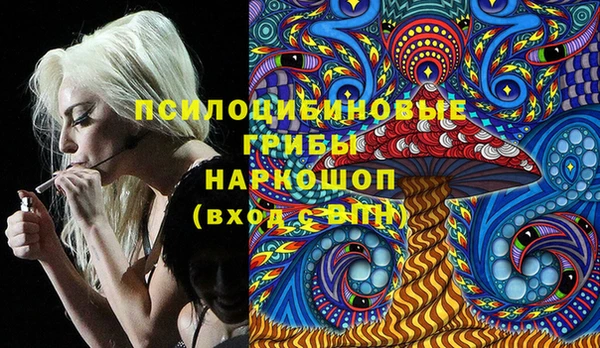 дурь Каменногорск